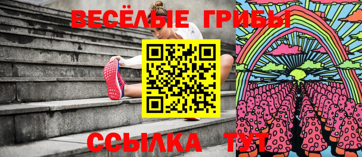 Галлюциногенные грибы GOLDEN TEACHER  Вход с VPN  Псилоцибиновые грибы прущие грибы  Спасск-Дальний 